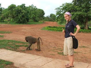 Friendly Baboons